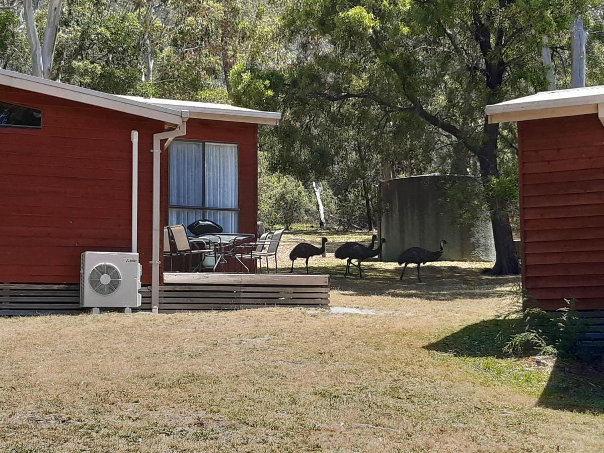 Wonderland Cottages Halls Gap Exterior foto